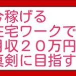 在宅ワーク高収入求人月収２０万円稼ぐ為の手法をそれぞれ説明してみた！