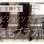 【主婦FX】週間報告♪アンビションシステムα＆２！