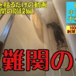 【1,600万円運用中 初中級副業トレーダー兼中古戸建不動産投資家】ただ壁紙を貼るだけの動画（最難関の階段編！）