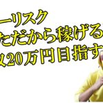 【必見副業】ゼロから月20万円を目指す副業！あなただからこそ稼げる！在宅副業！サラリーマン副業！お小遣い稼ぎ