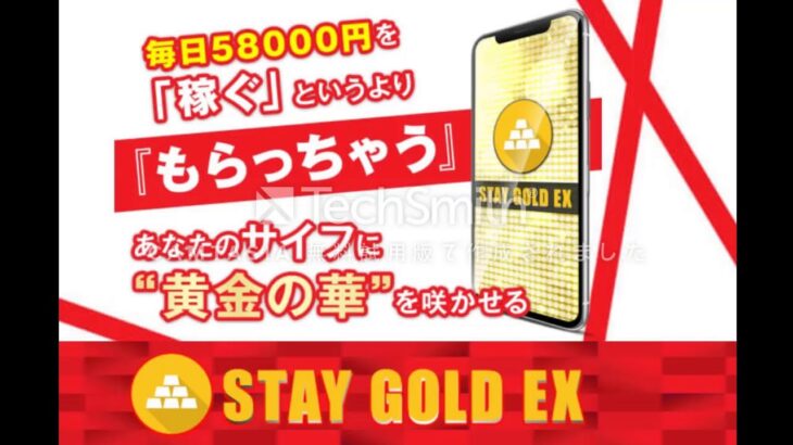 安藤美和 STAY GOLD EX （ステイゴールドEX） 副業 詐欺 返金 評判 評価 暴露 検証 レビュー