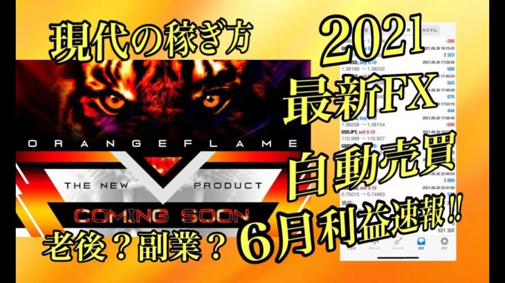 【2021 6月 利益速報!! 老後?副業?現代の稼ぎ方】