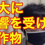 副業生活で月３０万円を稼ぐに至るまでに・・大きな影響を受けた著作物を紹介します♪