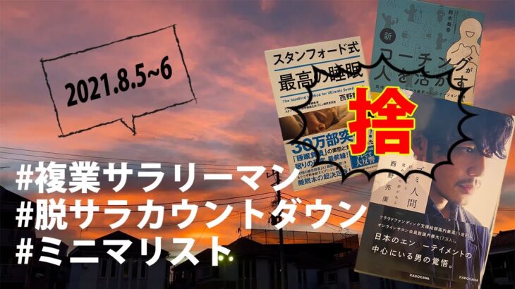 サラリーマンの平日２日間【VLOG/ROUTINE】本手放し中