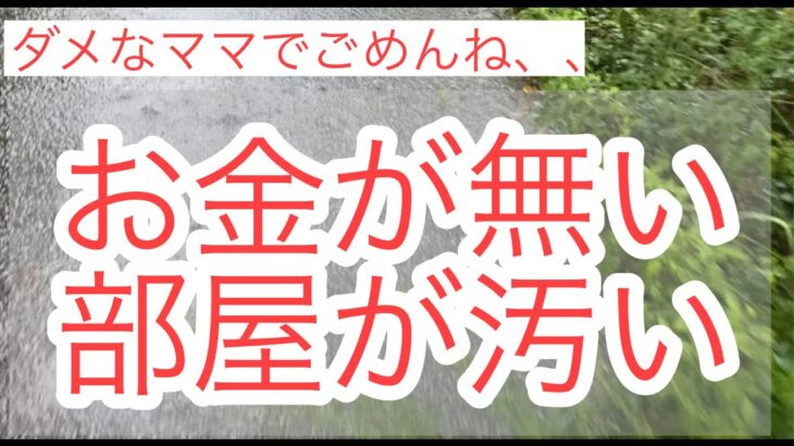 【片付けられない主婦】部屋が汚い、心も汚い、お金が無い、、　#借金　#借金返済