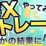 【副業 初心者】FXに初挑戦！FXは「危険」は本当なのか。検証した結果・・・