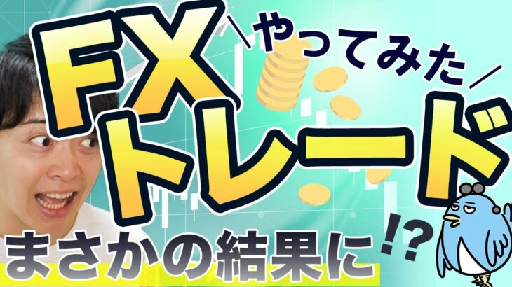 【副業 初心者】FXに初挑戦！FXは「危険」は本当なのか。検証した結果・・・