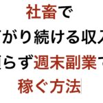 【ネットビジネスで稼ぎたい】社畜で下がりつづける収入 頼らず週末副業で稼ぐ方法