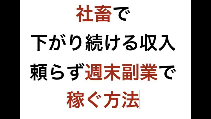 【ネットビジネスで稼ぎたい】社畜で下がりつづける収入 頼らず週末副業で稼ぐ方法