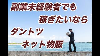 【在宅で収入を増やす】副業未経験者でも稼ぎたいならダントツネット物販