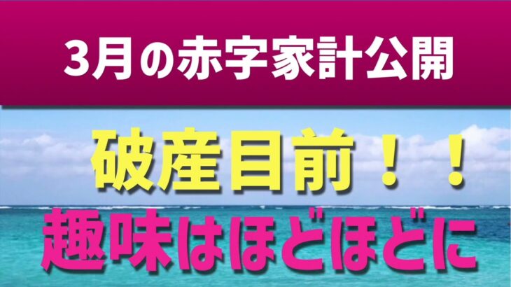 3月家計簿動画公開。副業、投資金額も公開中！