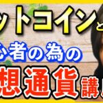 【仮想通貨】初心者が知っておきたいビットコインとは？主婦でも稼げる/副業/暗号資産/ブロックチェーン/fx/マナブ/切り抜き【転職/フリーランス/在宅ワーク/内職 バイト/副業 在宅/クラウドワークス