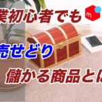 【ネット物販で稼ぐ】今から始める副業初心者でも転売せどりで儲かる商品とは？