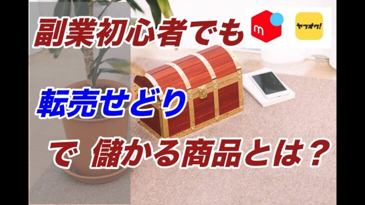 【ネット物販で稼ぐ】今から始める副業初心者でも転売せどりで儲かる商品とは？