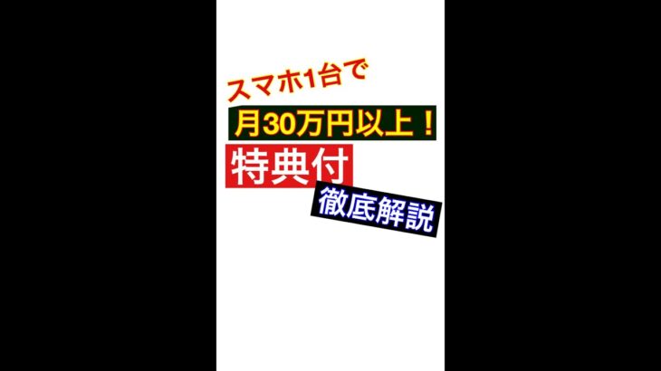 【2022年最新Twitter副業】初心者がスマホ１台で月30万円稼ぐ副業　ノウハウ公開【特典配布】