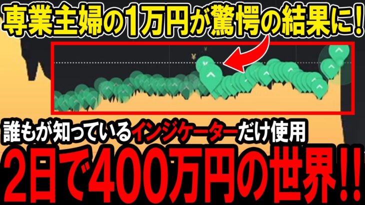 完全素人の専業主婦の１万円を２日で400万円に変えた！誰もが知っているインジケーターだけを使用した極上の投資法！【ハイローオーストラリア】【バイナリーオプション】【ゆっくり解説】【副業】