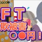 #63【ＮＦＴ詐欺】こんな初心者は狙われる【注意喚起】