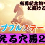 【2022年ホープフルステークス】狙える穴馬はこの2頭！有馬記念的中の流れで勢いに乗れるか！