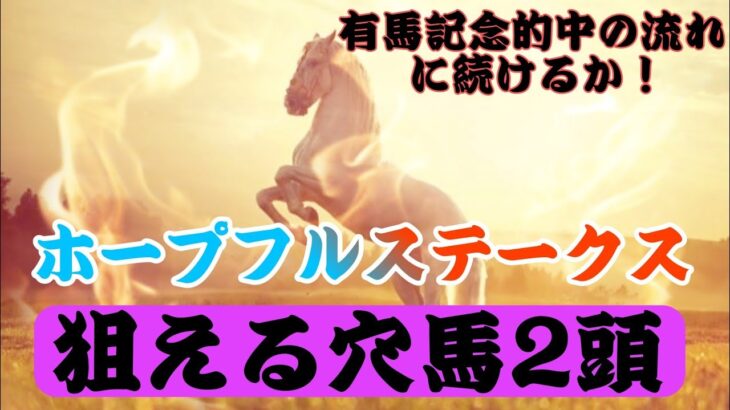 【2022年ホープフルステークス】狙える穴馬はこの2頭！有馬記念的中の流れで勢いに乗れるか！