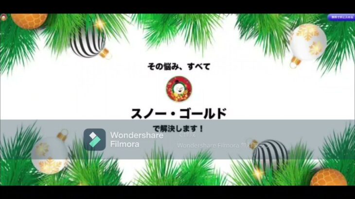 スノー ゴールド 望月 乃里子 スマホ 副業 投資 評判 評価 検証 口コミ