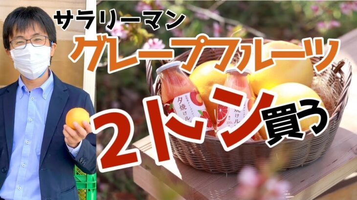 【素人】サラリーマンが国産グレープフルーツを2トン買ってジュースをつくる【副業】