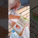 副業している旦那の勝負飯　#shorts #副業 #低収入 #昼飯 #昼休み #昼ごはん