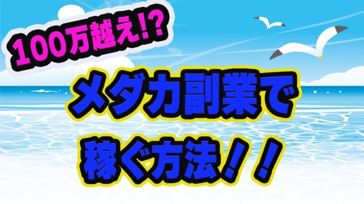 【メダカ副業】100万円超えメダカ大量発生！？メダカ副業で稼ぐ方法！！