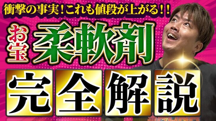 【有料級】お宝になる柔軟剤の秘密とは！？【副業・せどり】