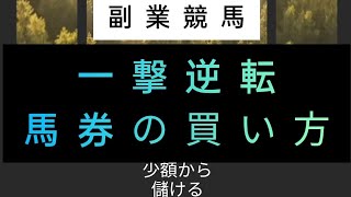 我が馬券の買い方2  副業で稼ぐ競馬  少額で儲ける副業競馬