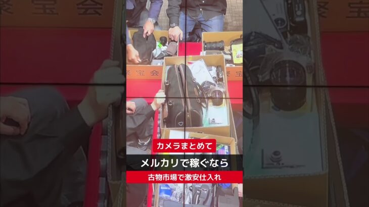 カメラ転売【せどり副業で月収アップ】メルカリで稼ぐなら古物市場で激安仕入れ｜東京マーケットの競り風景！#shorts