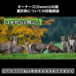 【オーナーズ(Owners)】副業詐欺？　#副業 #副業初心者スマホ