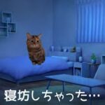 朝活副業サラリーマンの理想と現実#猫ミーム