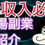 【副収入欲しい人必見】2024年稼げる初心者向け穴場副業を紹介