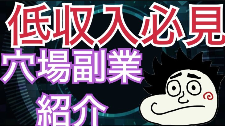 【副収入欲しい人必見】2024年稼げる初心者向け穴場副業を紹介