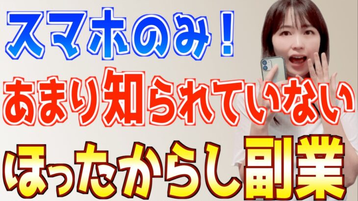 【スマホのみ】引きこもり稼げる、あまり知られていない簡単ほったらかし副業を検証！