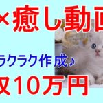 【無料で今すぐ】AI×癒し動画で副収入を得る方法を教えます！