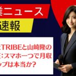 株式会社TRIBEと山崎隆の副業検証：スマホ一つで月収アップは本当か？