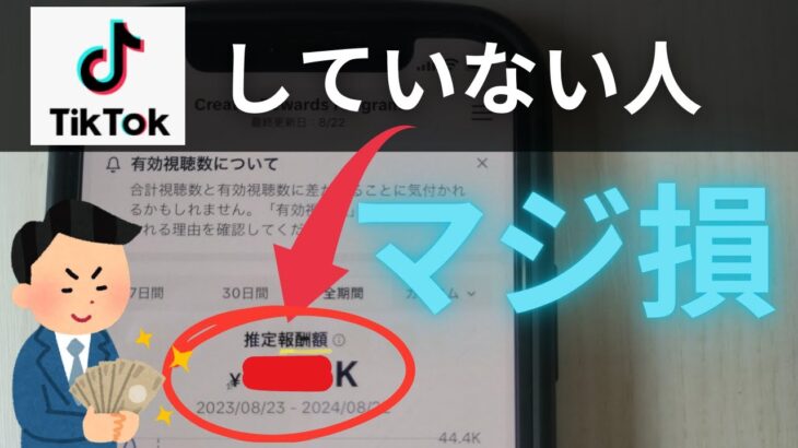 【1年間の収益公開】tiktokで稼ぐ方法・コツも（ネット副業初心者向け）