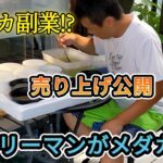 メダカ副業!?5万円売り上げるサラリーマン