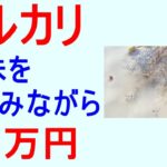 【初心者必見】趣味でメルカリ副業！月5万稼ぐリアルな方法！