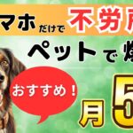 【スマホで月5万円 稼げる】初心者 に おすすめ の 家でできる  ペット動画を活用した AI 副業！チャットGPT で 簡単作成 バレない で ジャンジャン稼ぐ ！