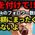 【スマホで稼ぐ】気を付けて！TikTokのフォロワー数は収益額にまったく関係ないよ【TikTok 収益化】【ティックトック】【スマホだけで稼ぐ】【スマホ副業】