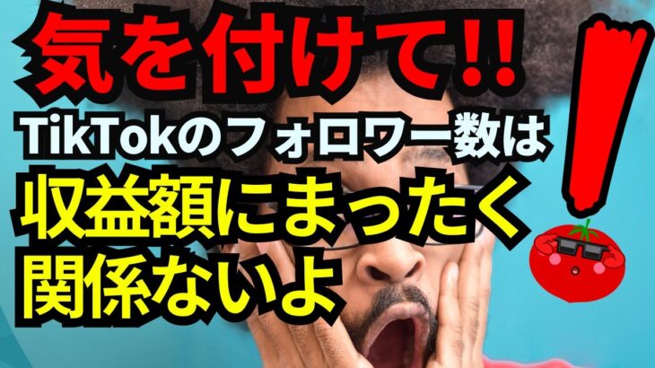 【スマホで稼ぐ】気を付けて！TikTokのフォロワー数は収益額にまったく関係ないよ【TikTok 収益化】【ティックトック】【スマホだけで稼ぐ】【スマホ副業】