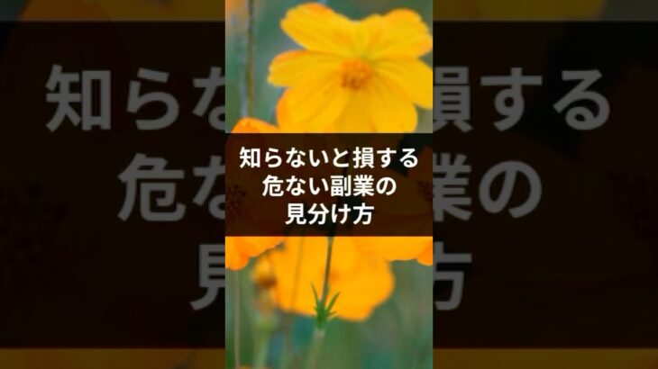 【知らないと損する！】危ない副業の見分け方#在宅ワークママ #在宅で稼ぐ #お金