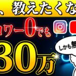 【SNS】フォロワー0人でも月30万円稼ぐ方法！スキルもお金もいらずにノーリスクで出来る最新副業を教えます！