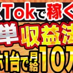 【TikTokで稼ぐ】初心者でも227万再生→月10万はすぐ稼げるAI副業！スマホ1台のみの簡単動画編集！今、確実に収益化できるジャンルは〇〇だ！【ショート動画】【SNS】【スキマ時間】