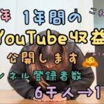 【1年間のYouTube収益公開】2024/副業/動画編集/YouTuberの収入/節約主婦/家計管理