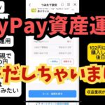 【副業検証】PayPayの資産運用に手を出してみました！！