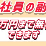 サラリーマン/会社員の副業　65万円まで無税に出来ます！青色申告の申請3/15まで！