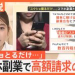 「スクショ送るだけで報酬」スマホ副業でトラブル相次ぐ　被害総額は10億円超か　“簡単に稼げる副業”に注意【Nスタ解説】｜TBS NEWS DIG